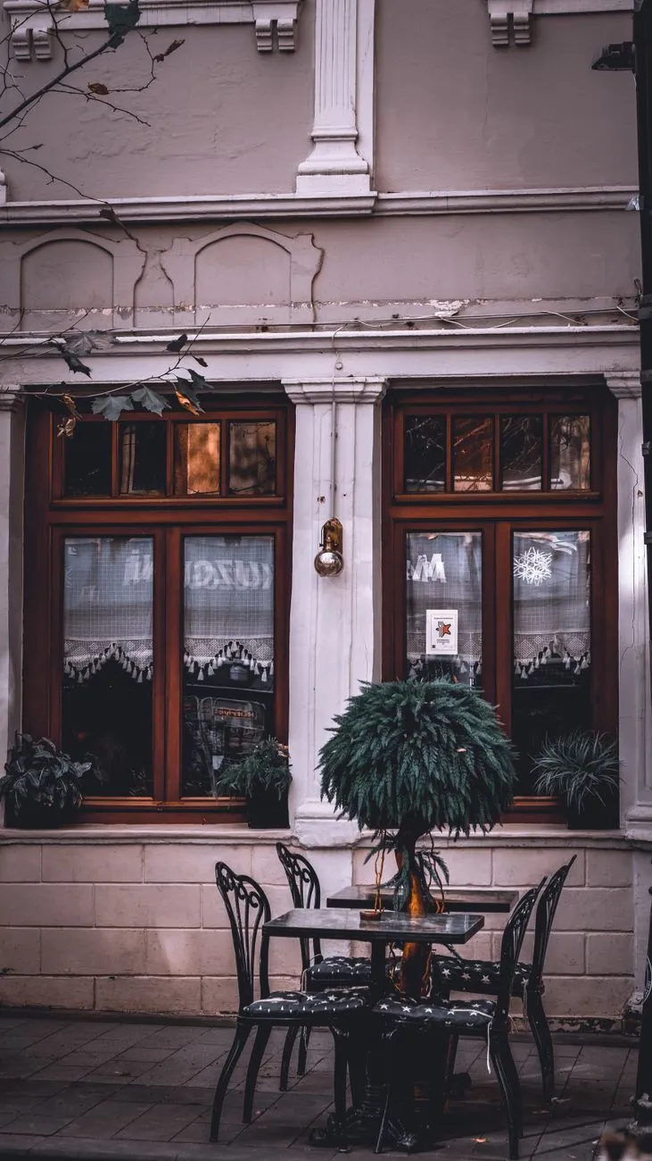 A traveler reading a book in a sunlit café