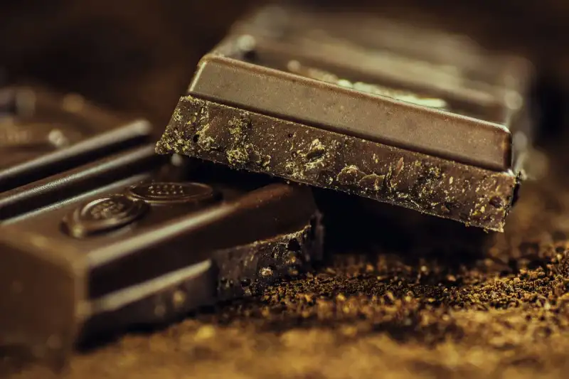The Obscure Origins and Transcendent Transformation of Cacao's Dark Heart