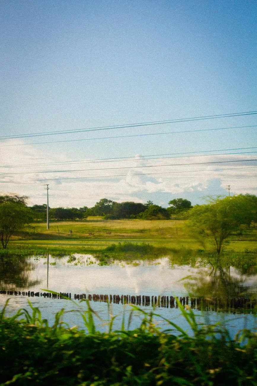 The Pantanal Chronicles: Into the Heart of Earth’s Greatest Wetland Sanctuary