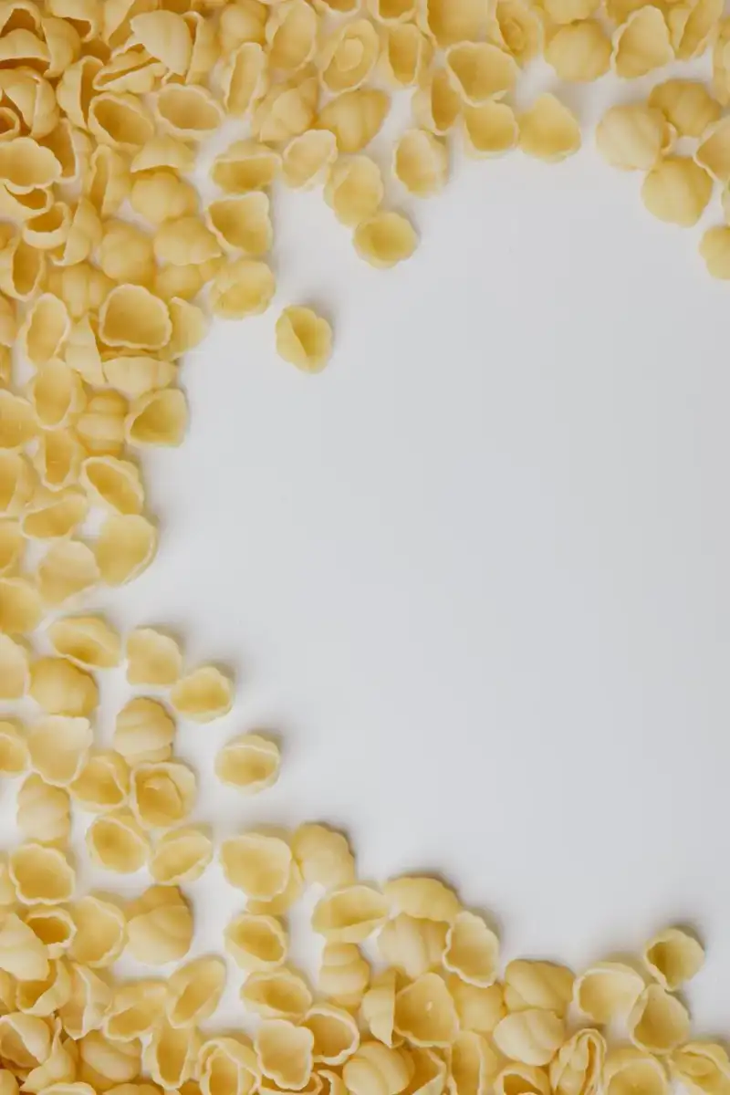 Close up of stuffed pasta