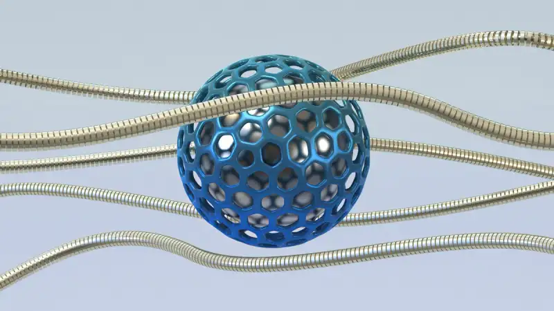 Topological Qubit