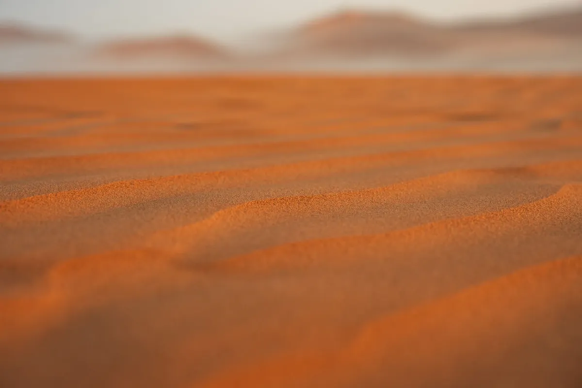 The Silent Cathedral of Sands: A Pilgrim’s Guide to Namibia’s Sossusvlei