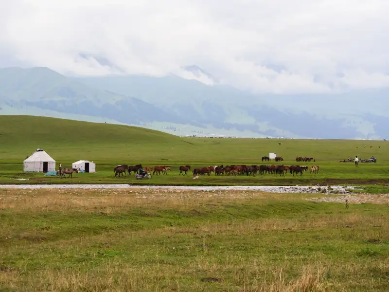 A herder guiding horses near a yurt camp in the Tian Shan mountains