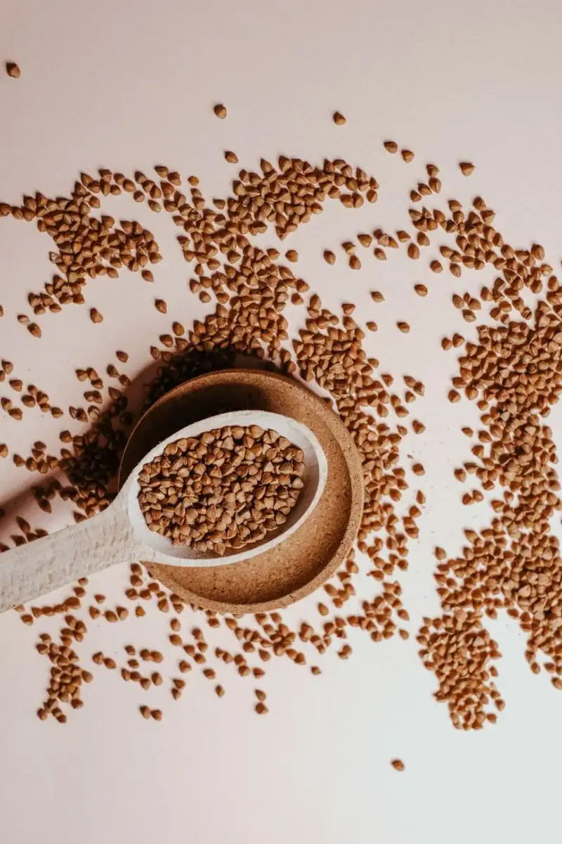 Close-up of raw farro grains in a wooden bowl
