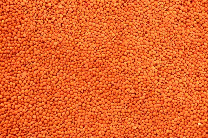 The Texture of Health