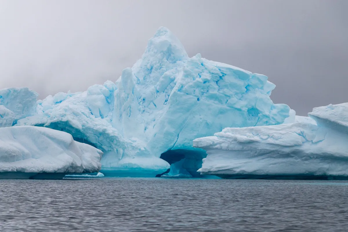 The White Silence Beckons: A Century of Chasing the Antarctic Dream