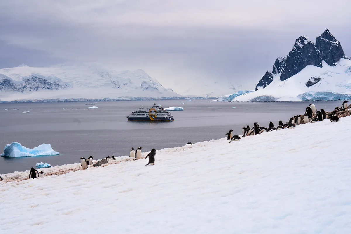 Historic expedition ship navigating Antarctic waters