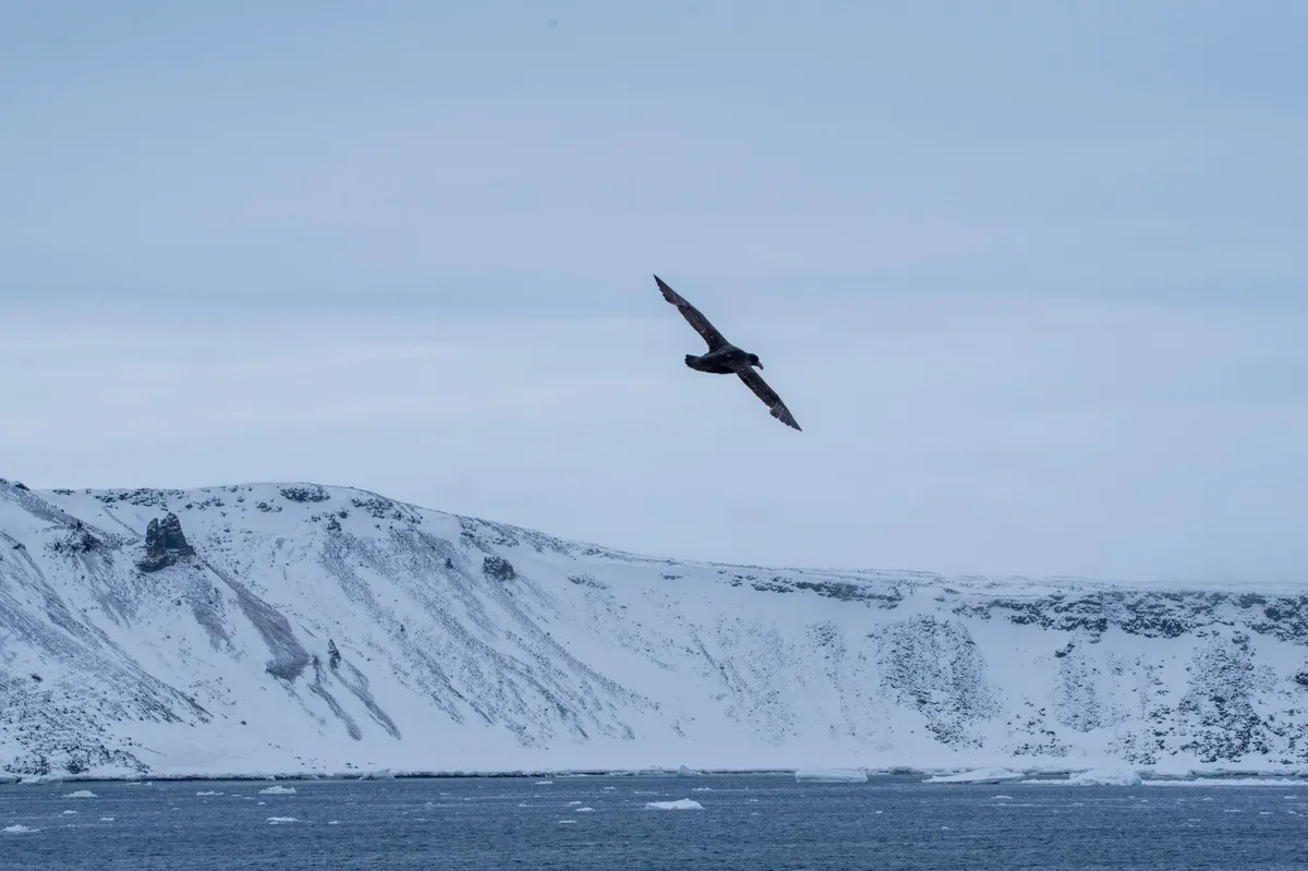 Scenic flight over Antarctic ice sheet and mountains