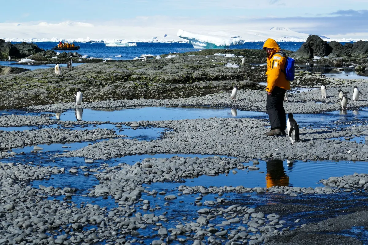 Tourists hiking and camping on Antarctic snow landscape