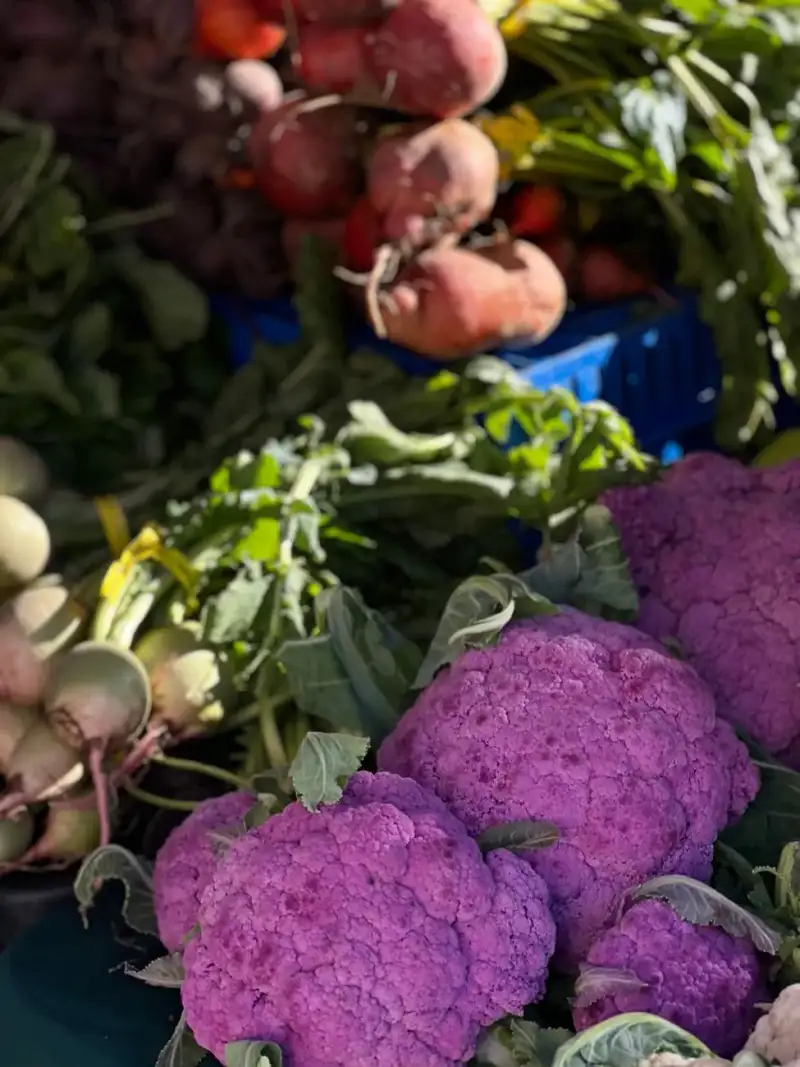 Colorful array of fresh, seasonal Nordic vegetables on a wooden table