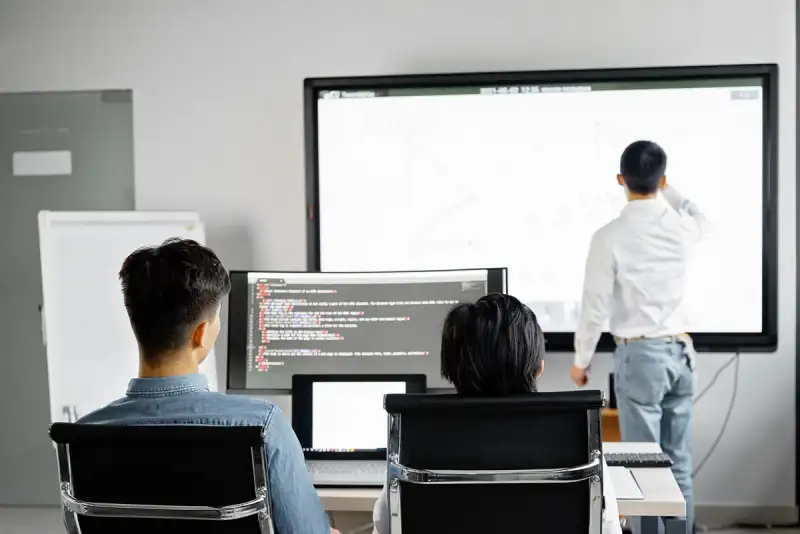 Software Ecosystem