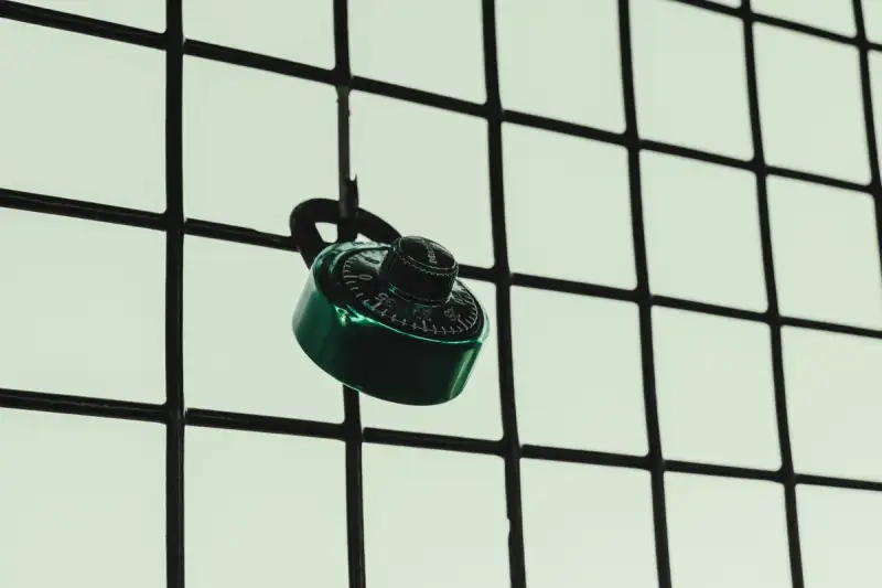 Cybersecurity Mesh Node
