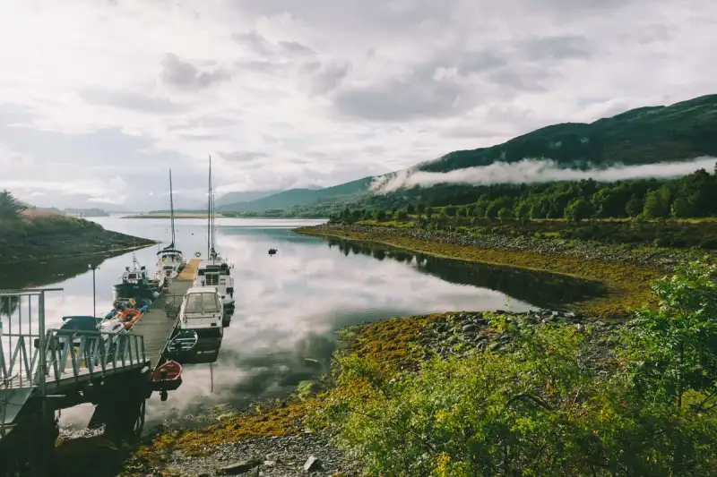 A serene loch surrounded by ancient forests