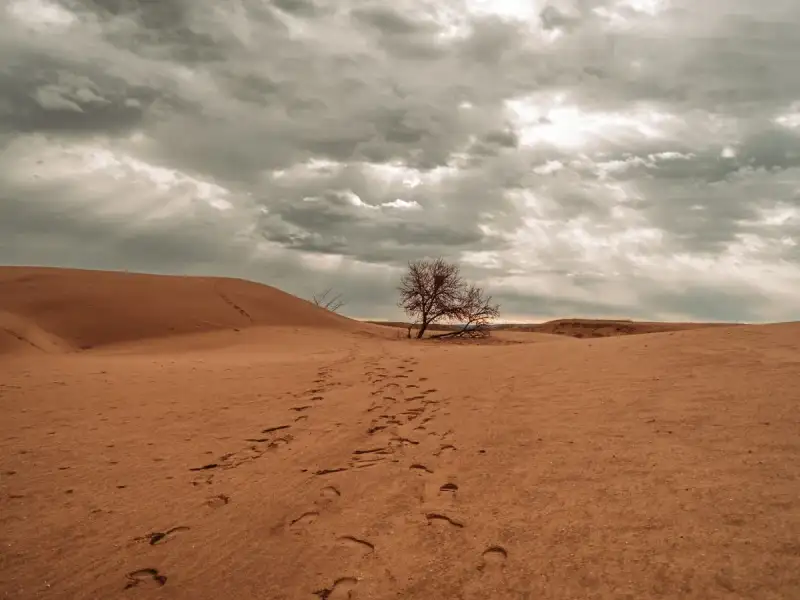 Unveiling the Breathtaking Landscape of Namibia's Sossusvlei: A Journey Through Time and Nature