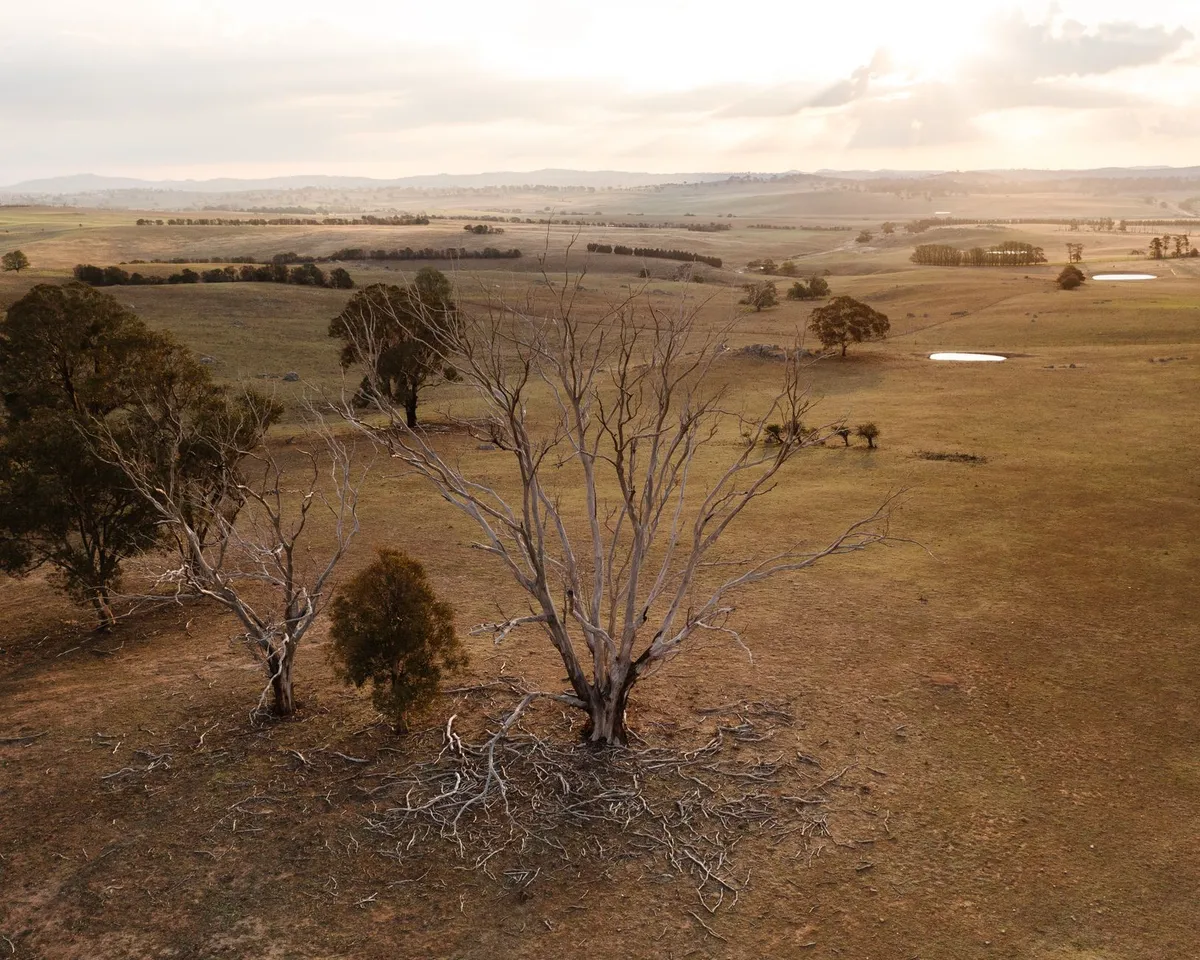 Unveiling the Land Down Under: A Journey Through Australia's Thriving Tourism