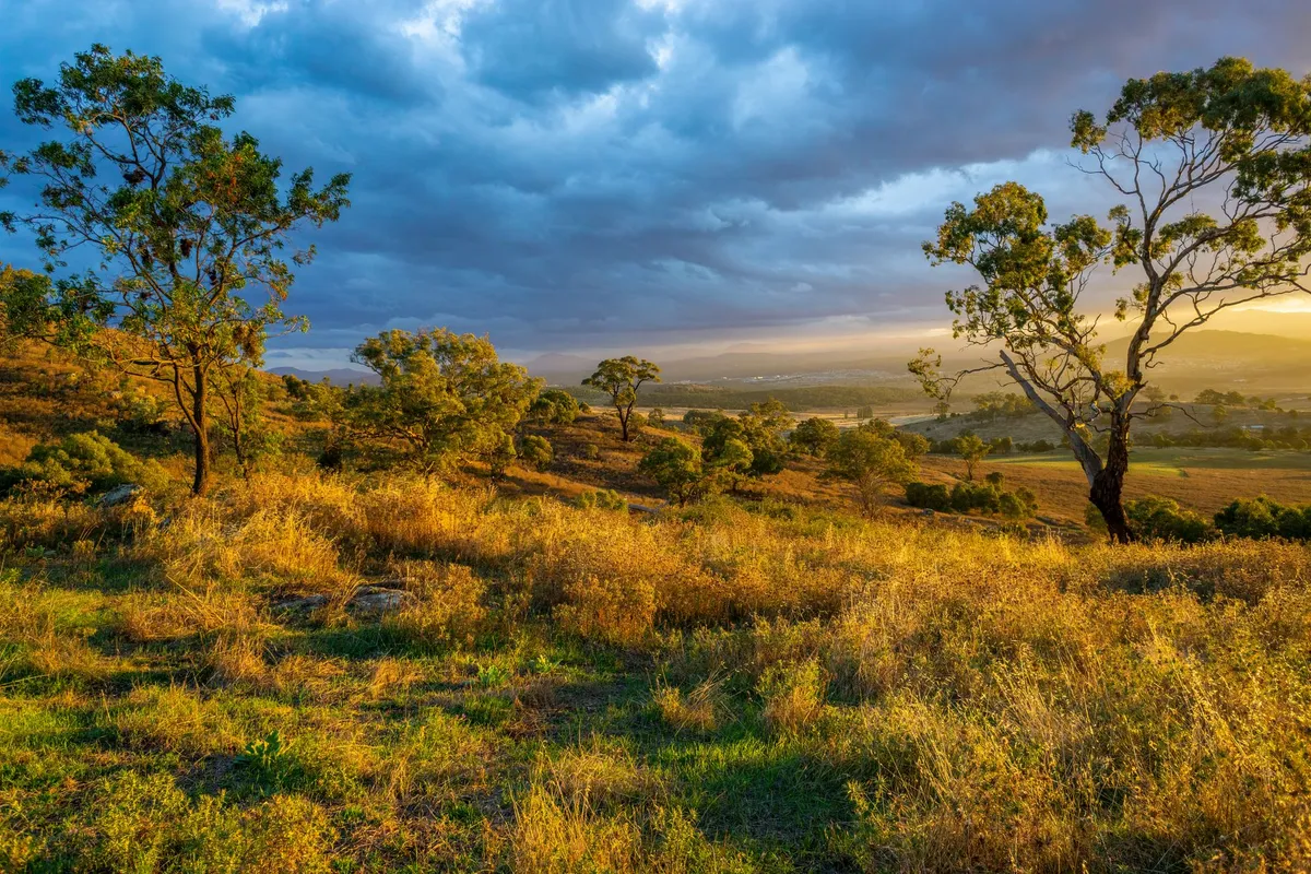 Unveiling the Land Down Under: A Journey Through Australia's Thriving Tourism Scene