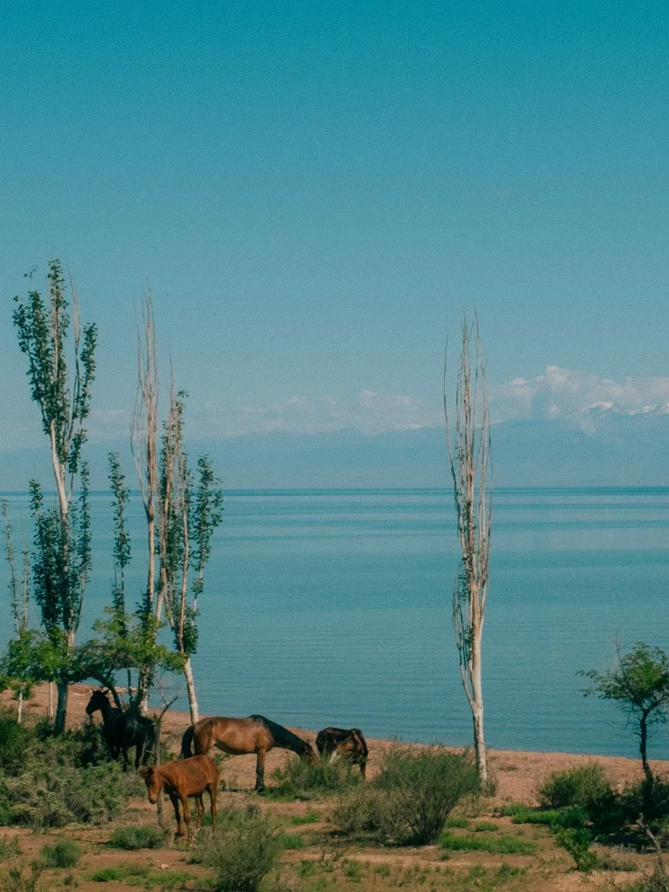Lake Issyk-Kul turquoise waters