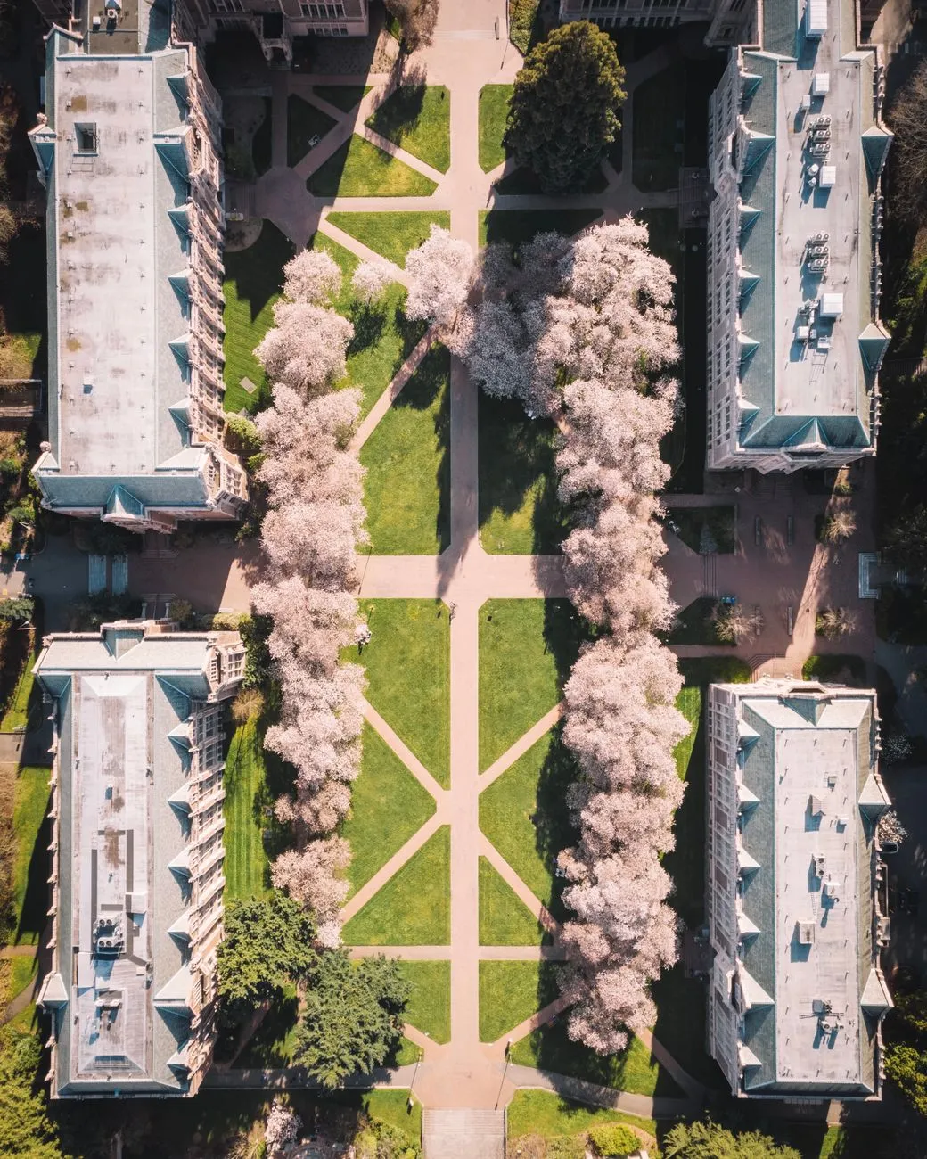 University garden project