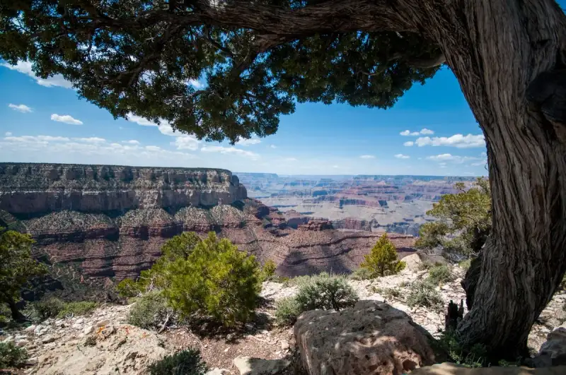 The vast, rugged expanse of the Grand Canyon