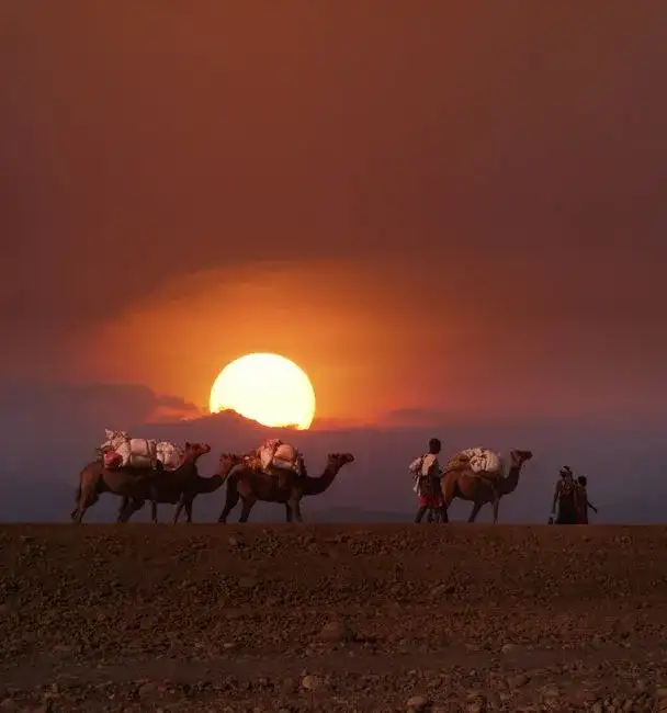 Where Faith Clings to Cliffs: An Expedition to Tigray's Unseen Sky Sanctuaries