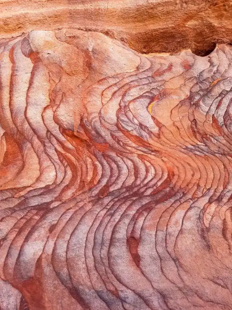 Close-up detail of naturally occurring vibrant rose-colored sandstone rock formations in Petra, showcasing ancient textures