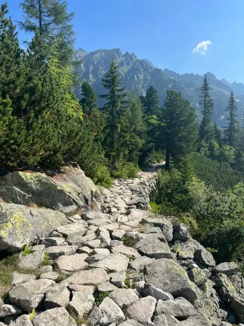 Whispers of the Tatra: Unveiling the Soul of Poland's Winter Capital, Zakopane