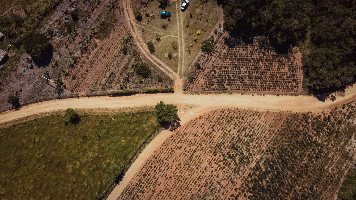 Dirt road Madagascar rural landscape