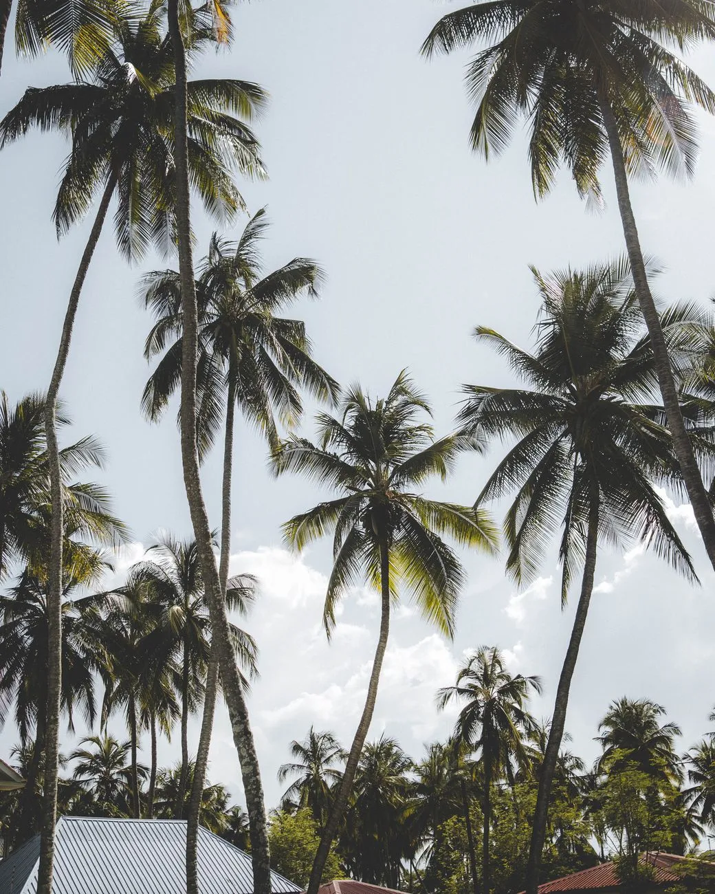 Zanzibar’s Hidden Shores: Unveiling the Most Secluded Beaches Where Crowds Dare Not Wander (Part 2)